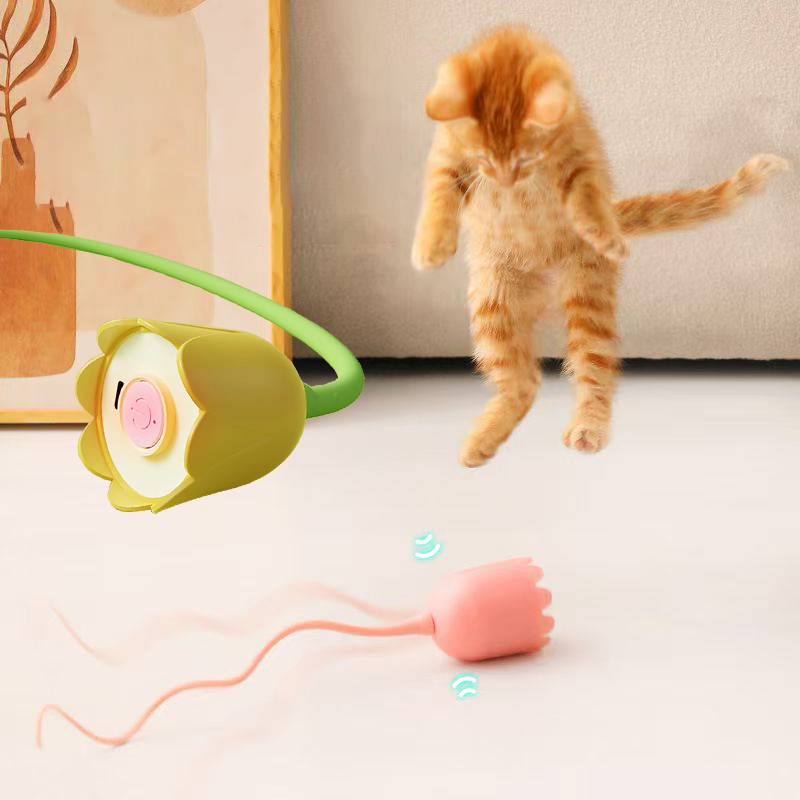 Interactive Cat Toys USB Elect - Power Tools Cat review and price