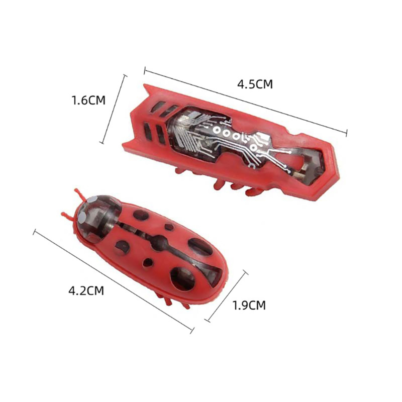 1PC Electric Bug Cat Toy Autom - Power Tools Cat review and price