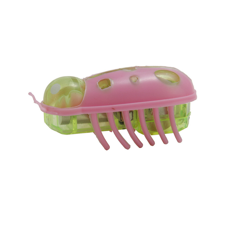 1PC Electric Bug Cat Toy Autom - Power Tools Cat review and price