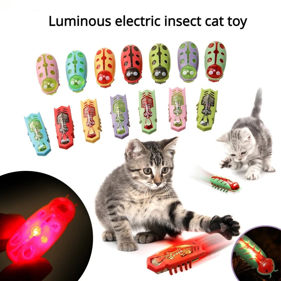 Cat Toys Light-up Electric Wor - Power Tools Cat review and price