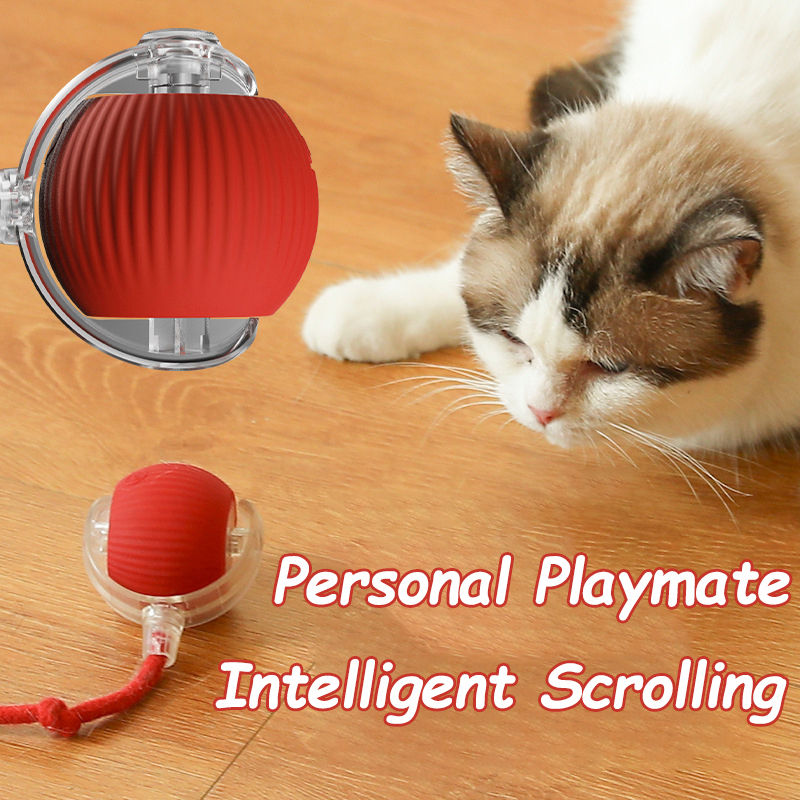 New Cat Interactive Ball Toy A - Power Tools Cat review and price