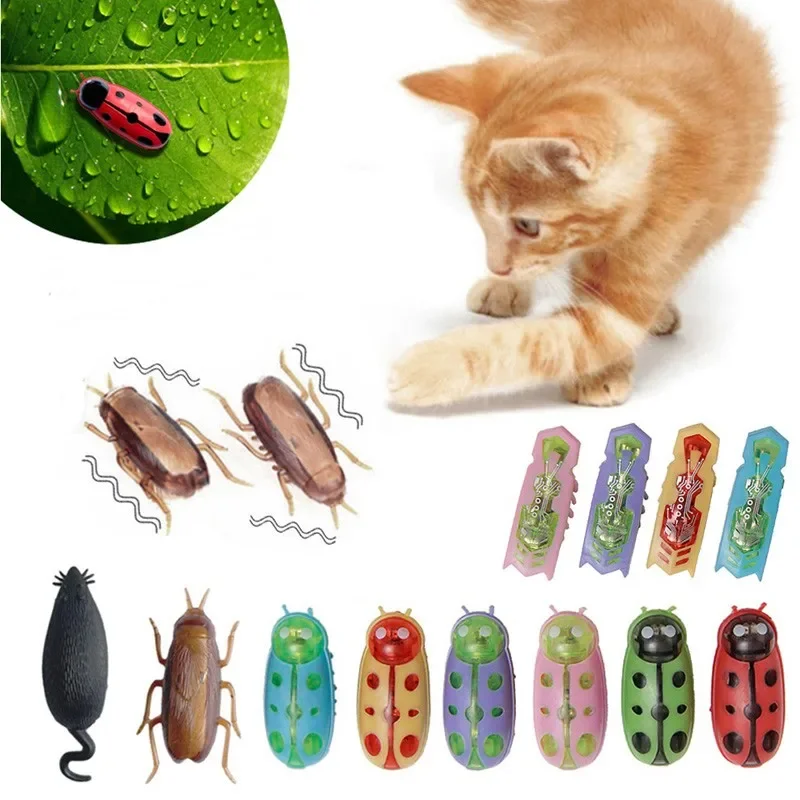 Funny Electric Bugs Catnip Toy - Power Tools Cat review and price