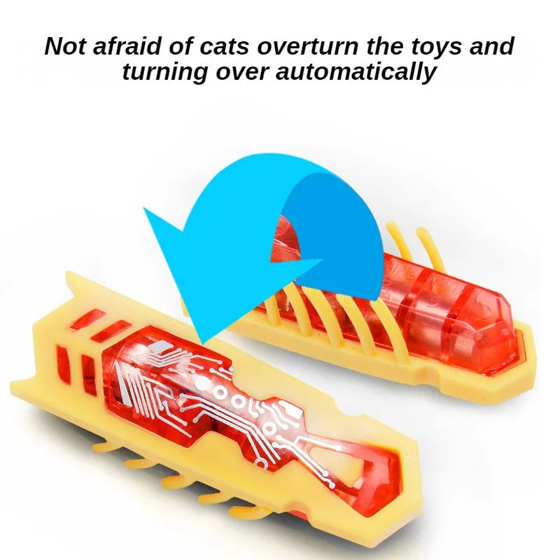 Funny Electric Bugs Catnip Toy - Power Tools Cat review and price