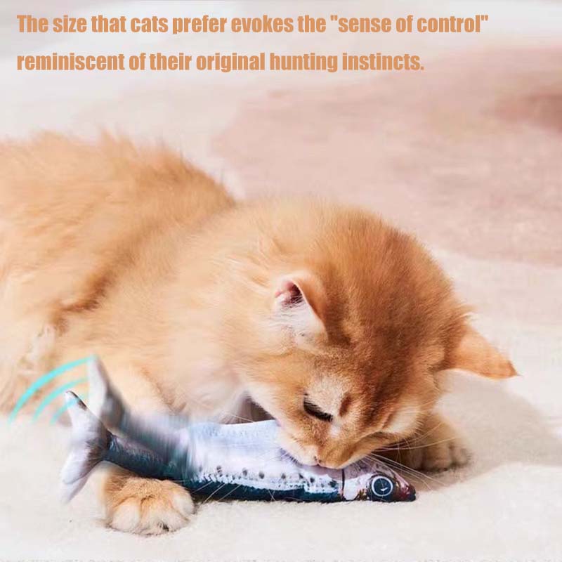 Interactive Cat Toys For Indoo - Power Tools Cat review and price
